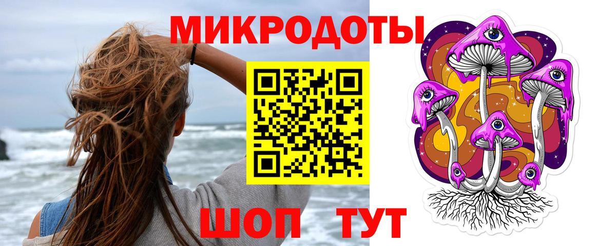Ефремов  Псилоцибиновые грибы Psilocybine cubensis  Вход с VPN 