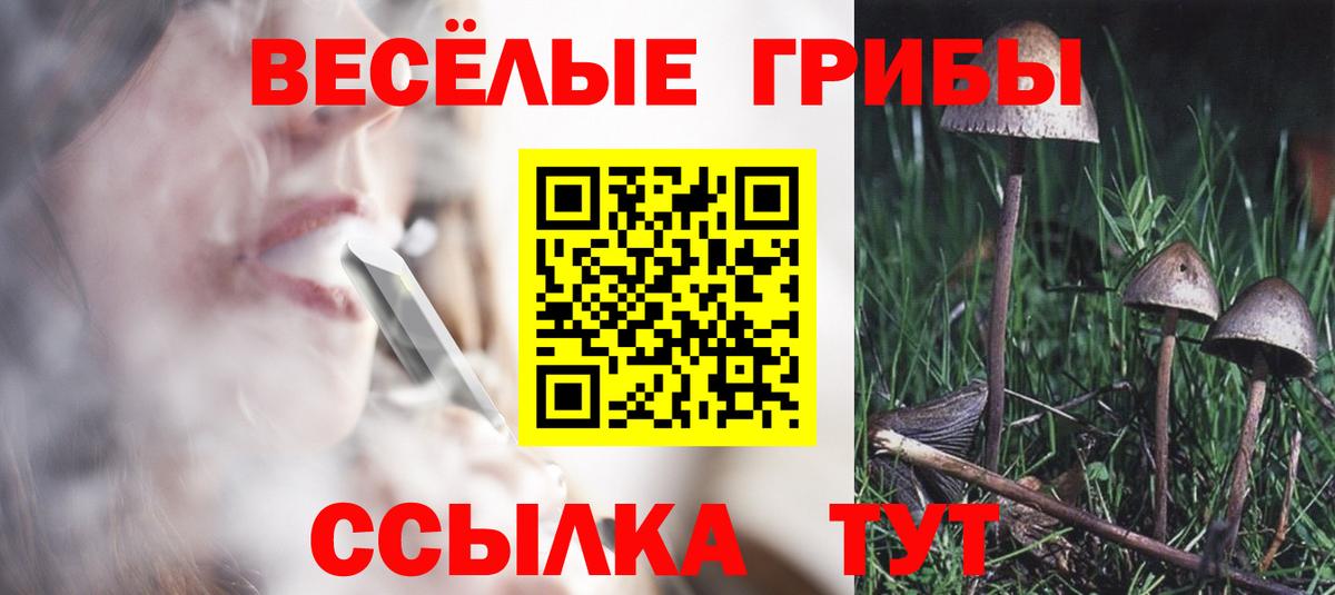 Псилоцибиновые грибы Psilocybe Ефремов